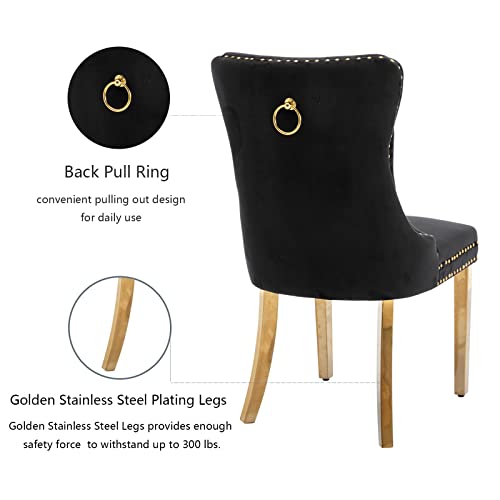 Black and Gold Velvet Dining Chairs Set of 2 (2 Count)