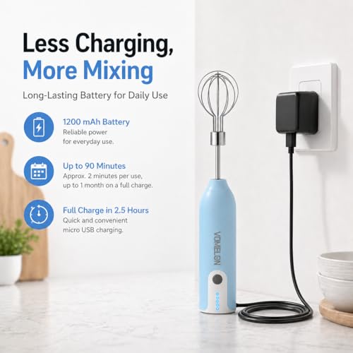 Egg Beater Whisk