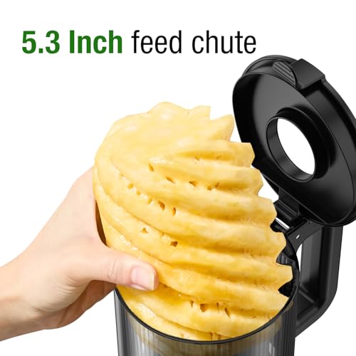 Cold Press Juicer Machine