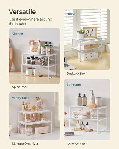 Set of 2 Metal Spice Racks (2 Count)