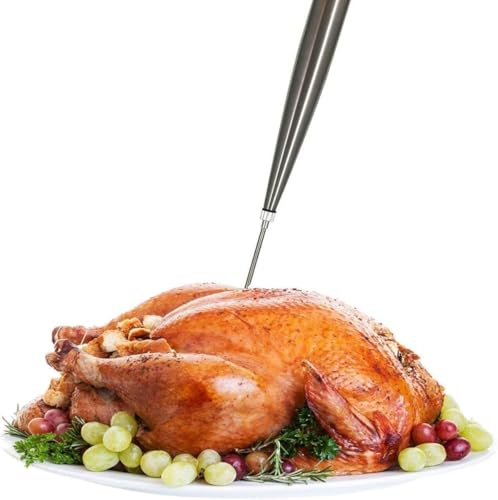 Stainless Steel Turkey Baster Syringe