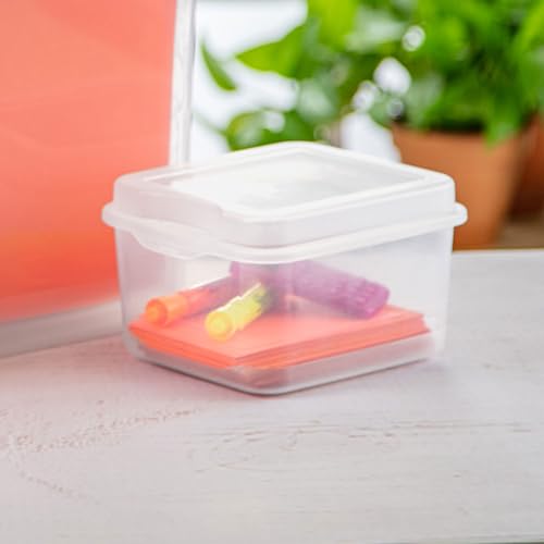 18038612 Small Flip Top Storage Box (24 Count)