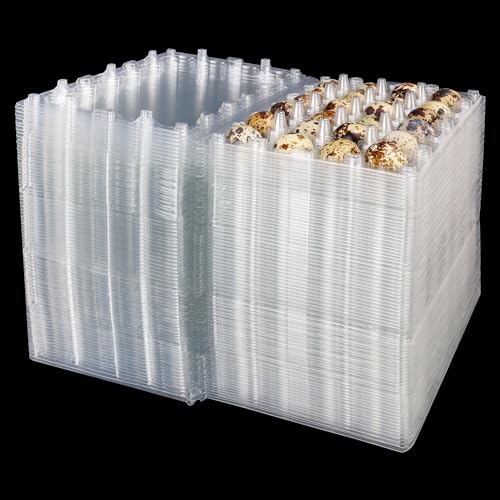 120 Pack Quail Egg Cartons (120 Count)