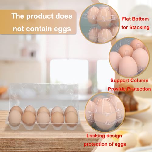 98 Pack Bulk Egg Cartons (98 Count)