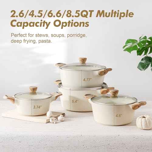 Ceramic Nonstick Stock Pot with Lid