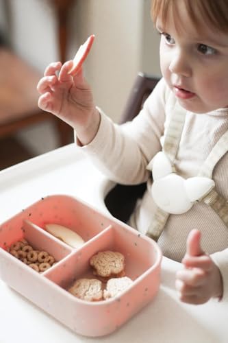 Kids Bento Box