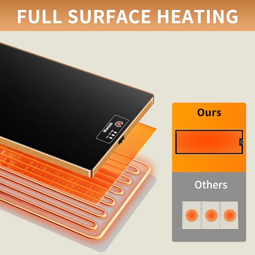 Electric Warming Tray