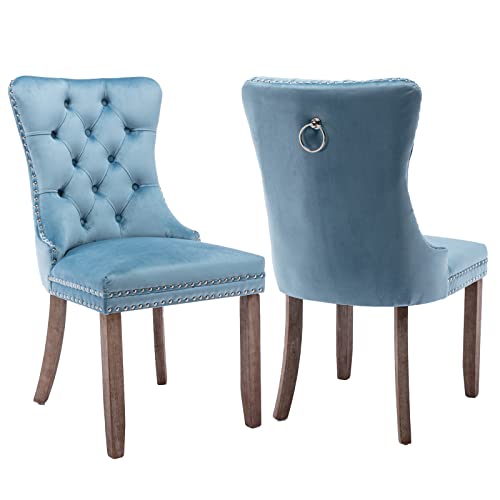 Light Blue Velvet Dining Chairs Set of 2 (2 Count)