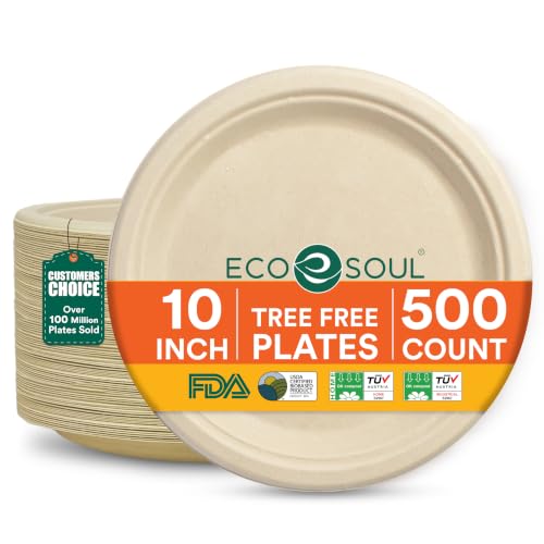 10 Inch Disposable Bagasse Paper Plates (500 Count)