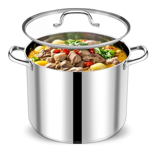 20 QT Stainless Steel Stock Pot with Lid