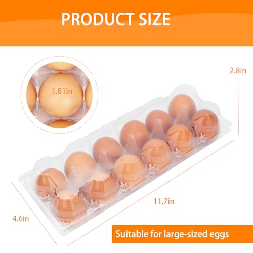 60 Pack Plastic Egg Cartons Cheap Bulk (60 Count)