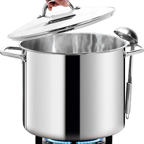 Commercial Grade LARGE STOCK POT 20 Quart With Lid