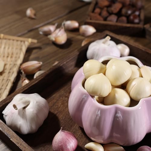 Garlic Keeper for Counter