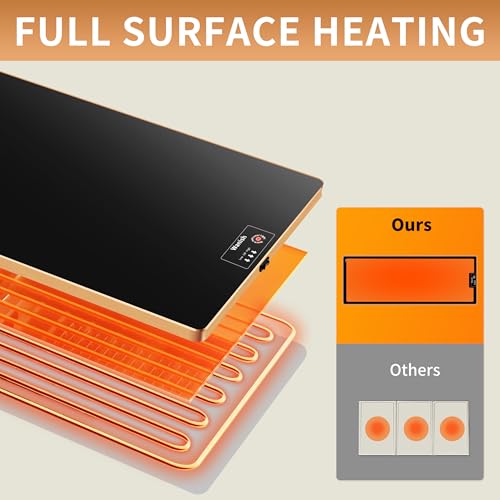 Electric Warming Tray