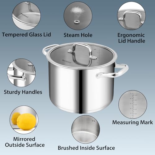 Stainless Steel Stock Pot