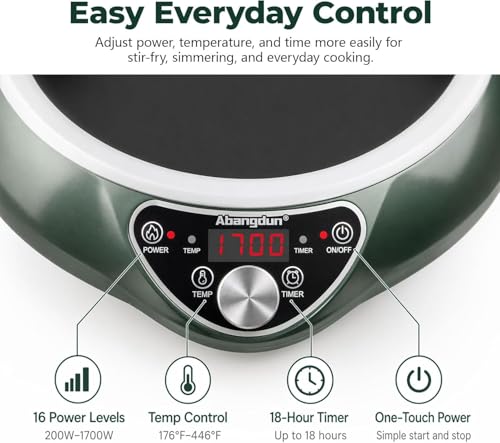 1700W Concave Induction Wok Cooktop