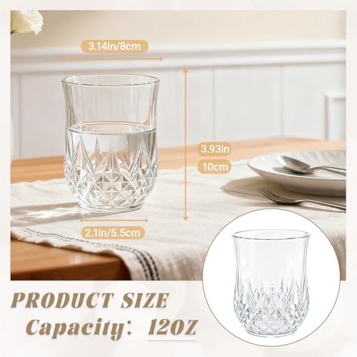 24 Pack Plastic Stemless Wine Glasses (24 Count)