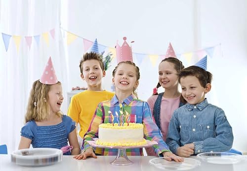 Sturdy Clear Plastic Plates 10" Party Plates 100 Pcs (100 Count)