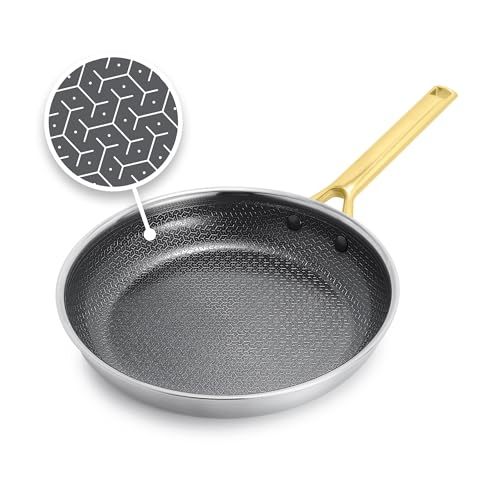 Hybrid 10" Stainless Steel Frying Pan