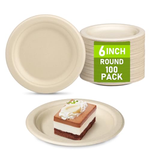 Small Paper Plates (100 Count)