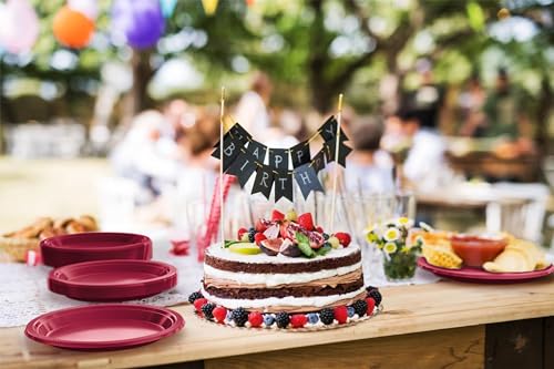 Sturdy Burgundy Plastic Plates 10" Party Plates 100 Pcs (100 Count)