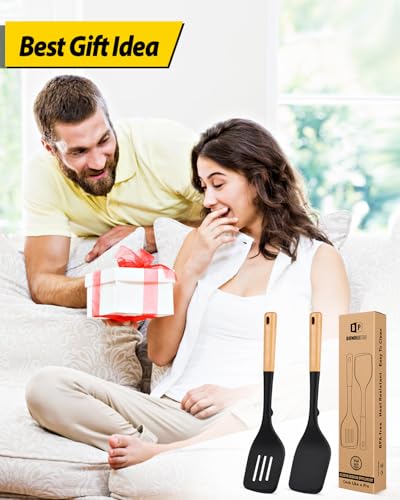 Silicone Spatula (2 Count)