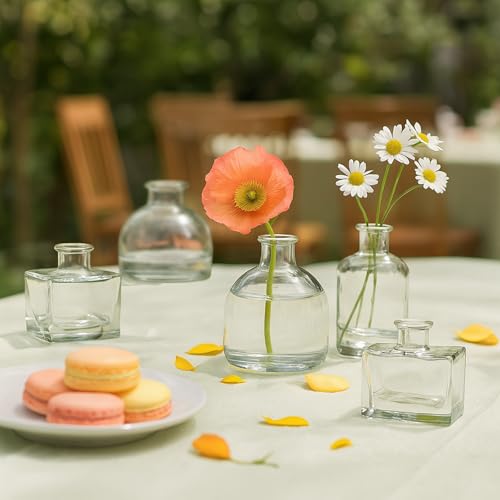 Glass Bud Vase Set of 28 Pcs (28 Count)