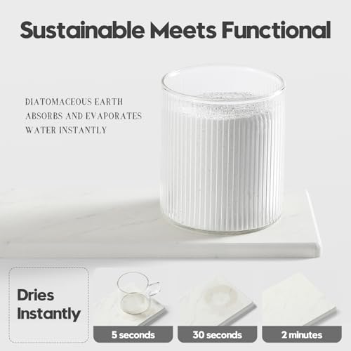 2PCS Diatomite Marble Stone Drying Mat for Kitchen Counter (2 Count)