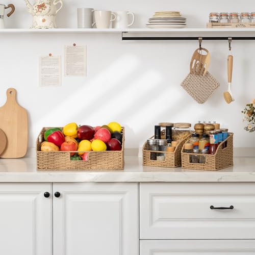Paper Rope Shelf Baskets (3 Count)