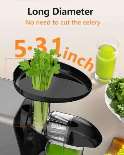Slow Juicer with Reverse Function