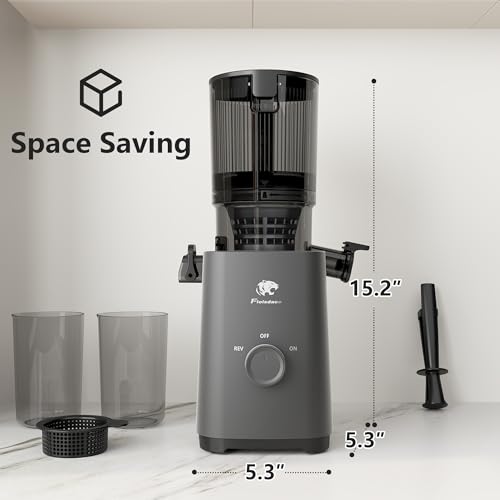 Cold Press Juicer