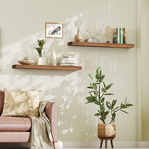 Floating Shelves for Wall (2 Count)