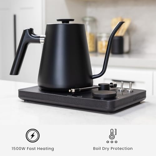 DJ Electric Gooseneck Kettle