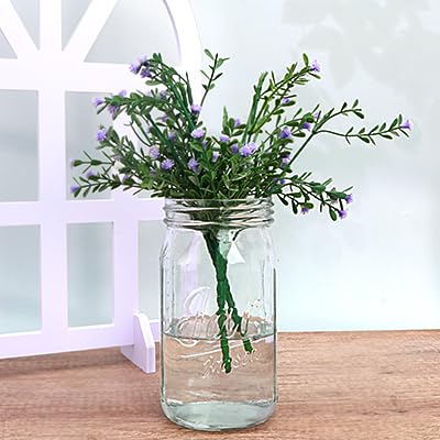 Wide Mouth Mason Jars 32 oz 12 Pack