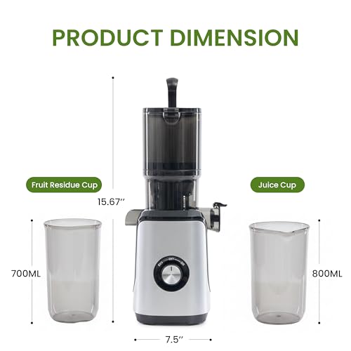 Cold Press Juicer