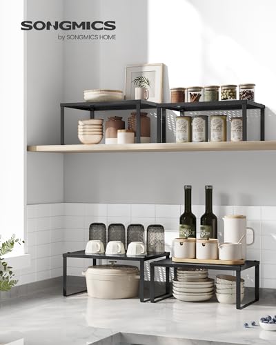 Set of 2 Metal Spice Racks (2 Count)
