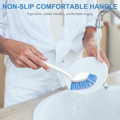 Dish Brush with Handle (2 Count)