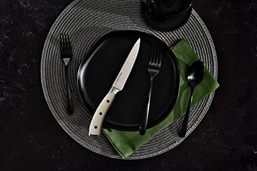 4 Piece Serrated Kitchen Steak Knife Set (4 Count)