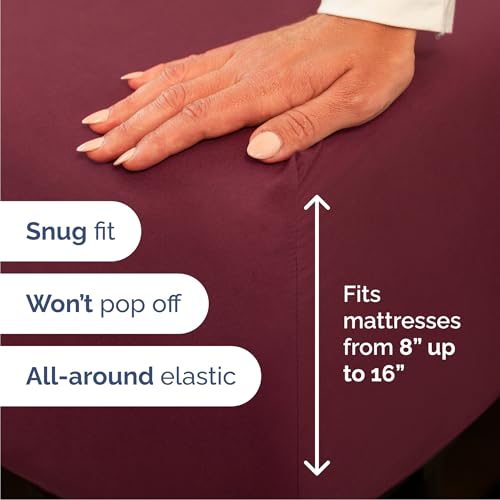 Queen Size 4 Piece Sheet Set (4 Count)