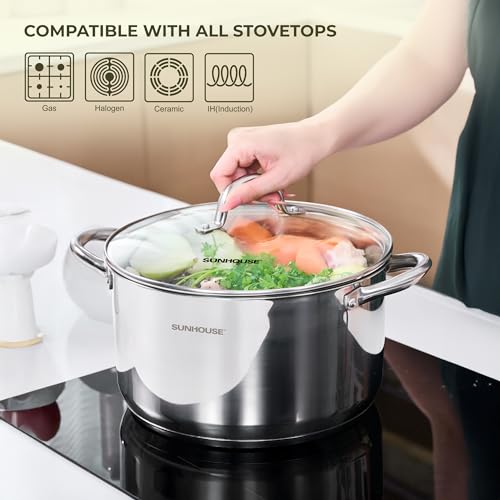 13 Quart Stock Pot with Lid