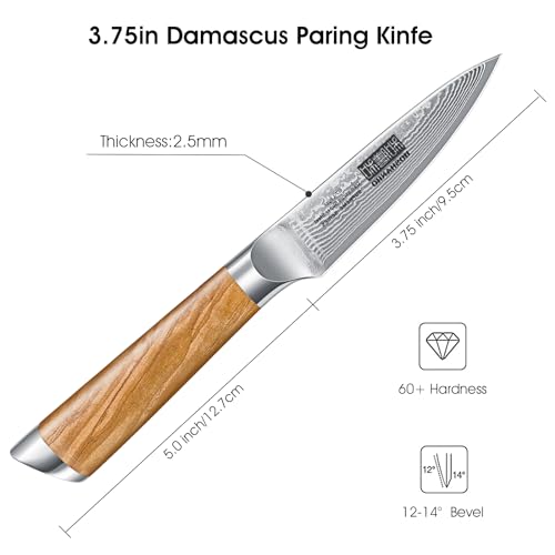 Damascus Paring Knife 3.75"