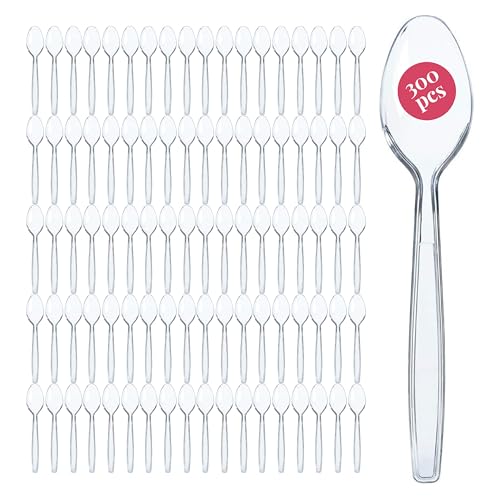 300 Plastic Spoons Bulk (300 Count)