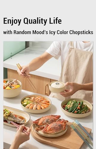 Modern Design Chopsticks (5 Count)