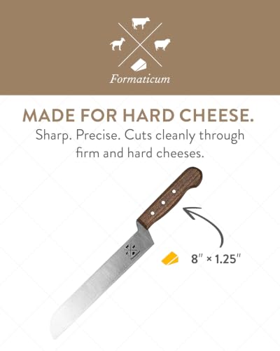 Professional Cheese Knife