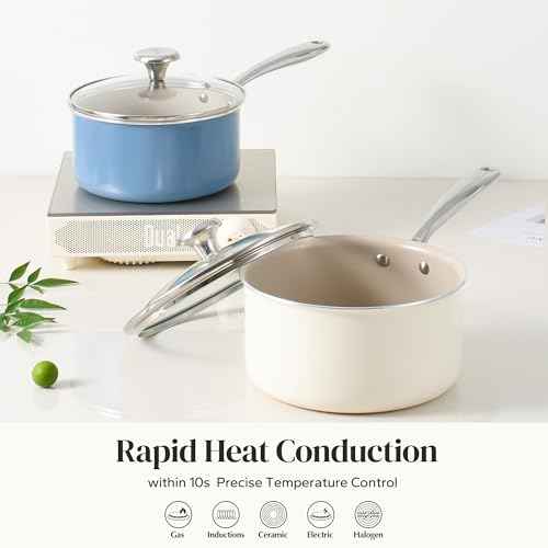 Ceramic Sauce Pan with Lid