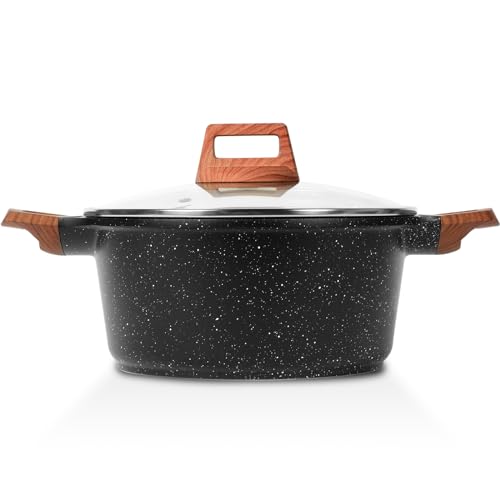 Nonstick Stock Pot with Lid