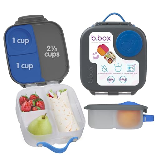 Mini Lunch Box