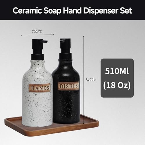 Hand and Dish Dispenser for Kitchen Sink (2 Count)