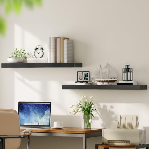 Floating Shelves for Wall (2 Count)