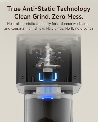 Electric Conical Burr Coffee Grinder with Removable Coffee Scale